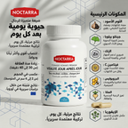 NOCTARRA ÉLAN MASCULIN نوكتارا التألق الرجولي